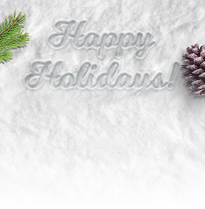 QD Solutions Holiday Snow Background